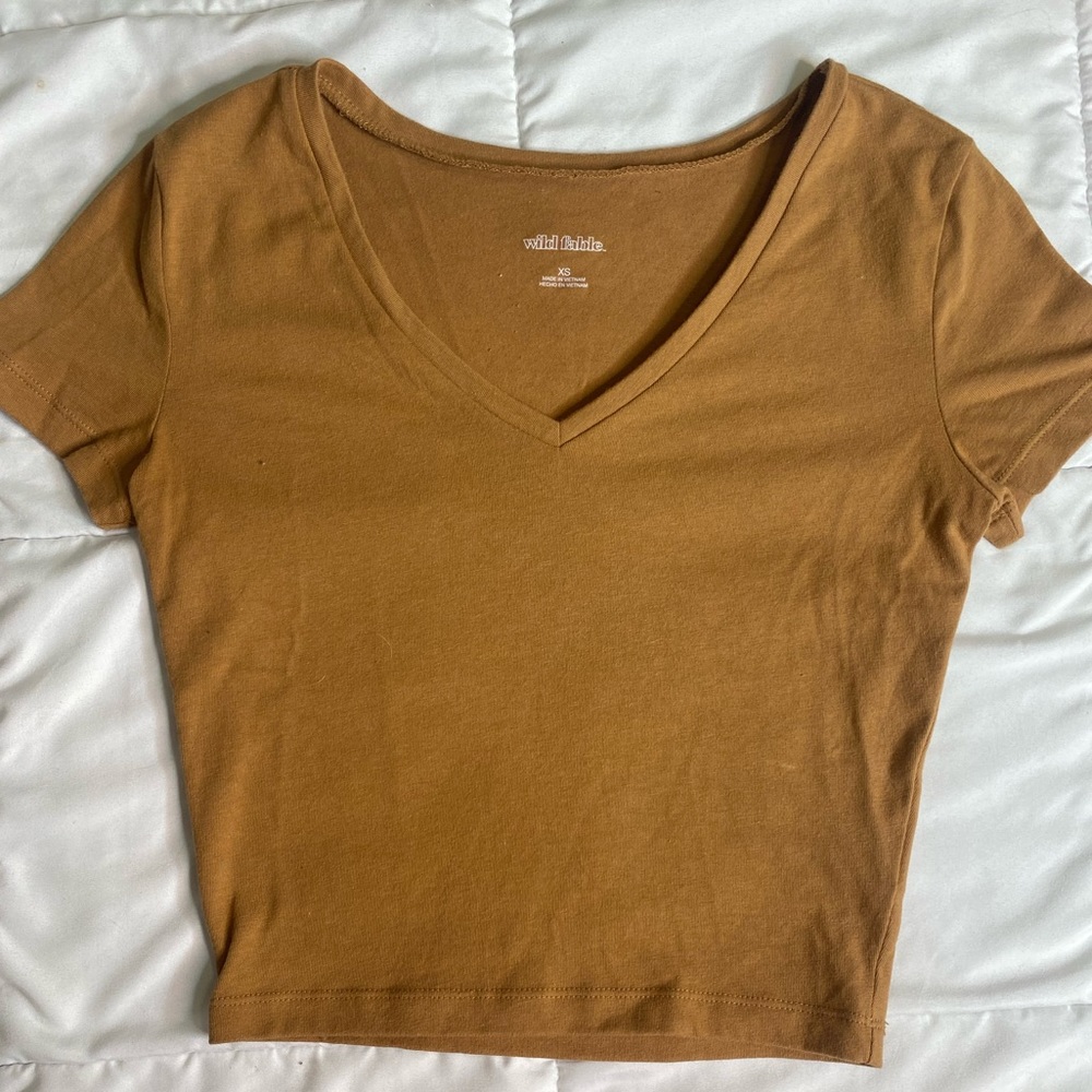 wild fable crop top